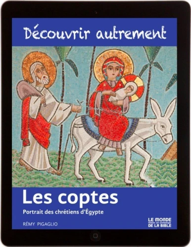 Les coptes