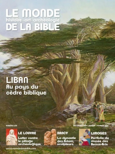 Liban, au pays du cèdre biblique